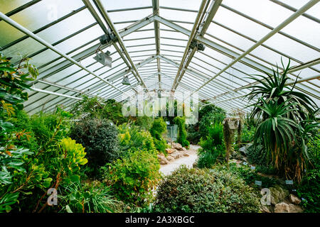 MÜNSTER/GERMANIA - Agosto 2019: Giardino Botanico nel centro della città di Münster WWU vicino palazzo universitario Foto Stock