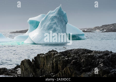 Iceberg sotto la pioggia a Brimstone Head Park Beach, isola di Fogo, Terranova Foto Stock