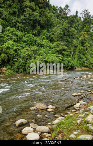 Bahorok fiume vicino a Bukit Lawang villaggio nel nord di Sumatra, Indonesia. Foto Stock