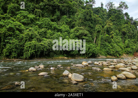 Bahorok fiume vicino a Bukit Lawang villaggio nel nord di Sumatra, Indonesia. Foto Stock