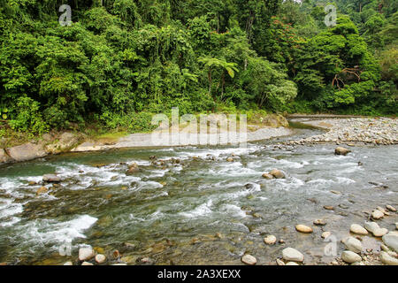 Bahorok fiume vicino a Bukit Lawang villaggio nel nord di Sumatra, Indonesia. Foto Stock