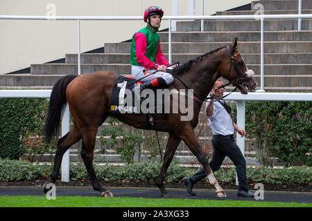 Autunno Racing Weekend & Ascot festa della birra, Ascot Racecourse, Ascot, Berkshire, Regno Unito. 5 Ottobre, 2019. Racegoers godendo il racing. Credito: Maureen McLean/Alamy Foto Stock