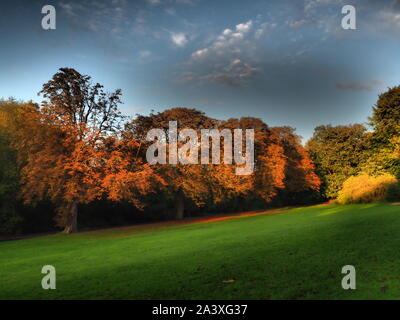 I colori autunnali nel parco - Watford Foto Stock