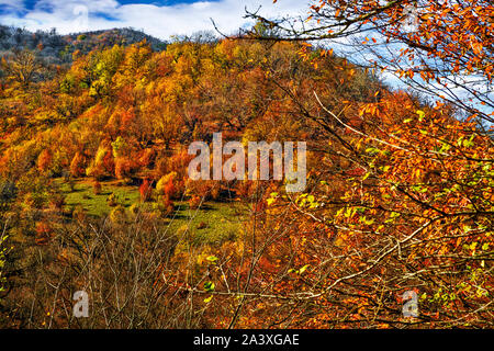 Autunno in Chenarbon Foto Stock