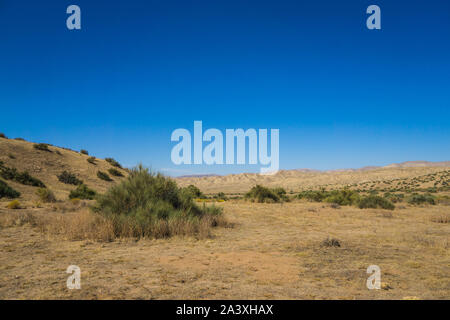 Ampia vastità vuoto del Deserto Mojave nel sud della California. Foto Stock