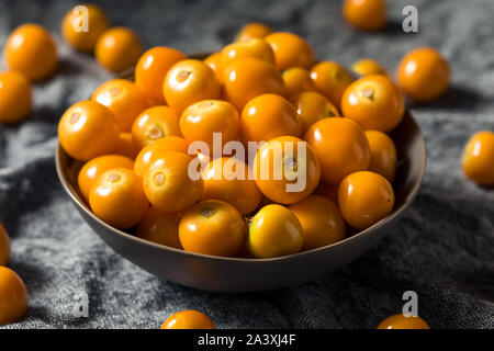 Materie di colore arancione organico Gooseberrries pronto a mangiare Foto Stock