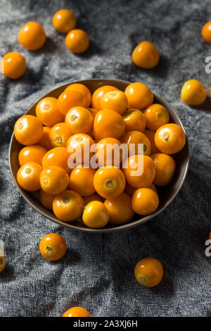 Materie di colore arancione organico Gooseberrries pronto a mangiare Foto Stock