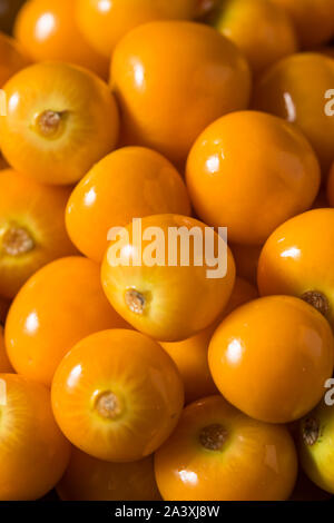 Materie di colore arancione organico Gooseberrries pronto a mangiare Foto Stock