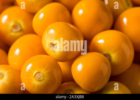 Materie di colore arancione organico Gooseberrries pronto a mangiare Foto Stock