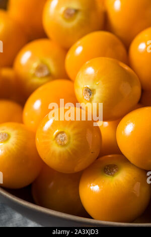 Materie di colore arancione organico Gooseberrries pronto a mangiare Foto Stock