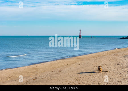 Promuovere la spiaggia di Chicago durante il pomeriggio con il cane e faro di luce Foto Stock