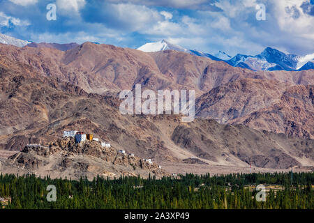 Thiksey gompa monastero Buddista in Himalaya. Foto Stock