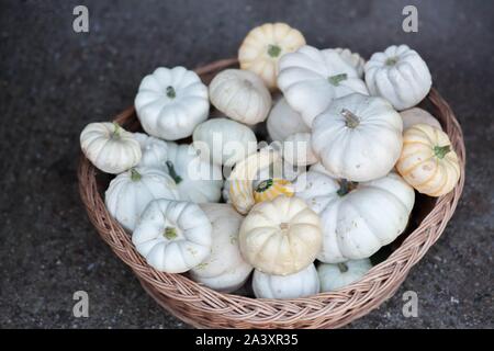 White baby boo zucche in un cesto di vimini Foto Stock