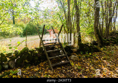 Stile di legno attraversando un vecchio mossy muro di pietra dalla caduta stagione Foto Stock