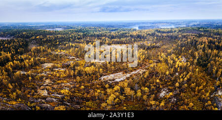 Infinite foreste d'autunno. Antenna luminoso panoramico paesaggio boschivo con laghi e cielo Foto Stock