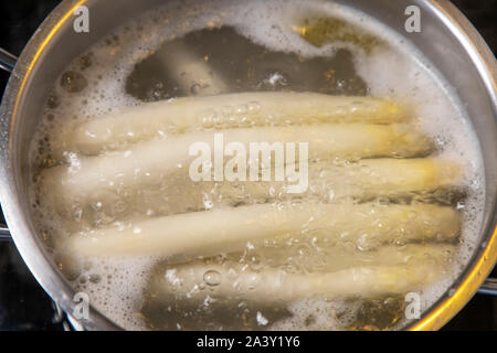 Asparagi bianchi, asparagi spears, cotta Foto Stock