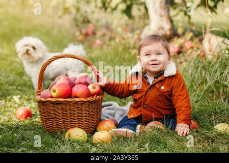 Happy funny little baby boy su fattoria la raccolta di mele nel frutteto. Carino adorabili bambini in rosso marrone camicia con cesto in vimini e cane bianco pet. Kid gathe Foto Stock