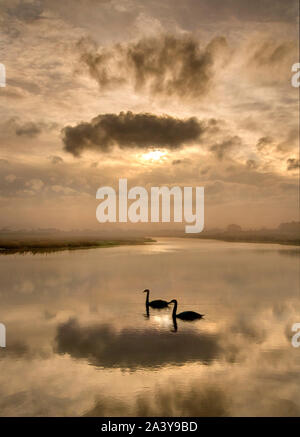 Sunrise riflessioni sul fiume Foto Stock