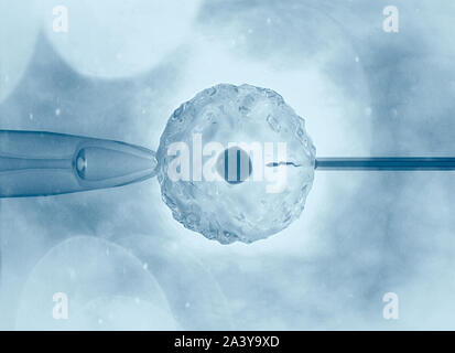 Artificiale o fecondazione assistita è il processo mediante il quale l'unione dei gameti artificialmente è effettuata mediante osservazione al microscopio Foto Stock