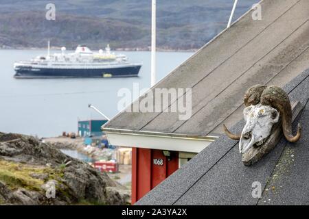 MUSKOX CRANIO su un ponte e la barca di crociera ASTORIA IN BACKGROUND, COMUNE DI QAQORTOQ, Groenlandia, DANIMARCA Foto Stock