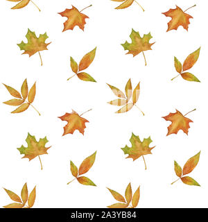 Disegnata a mano colorato Foglie di autunno pattern senza giunture Foto Stock