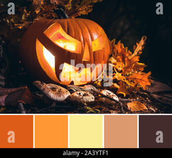 Corrispondenza colore tavolozza Autunno in marrone, giallo ed arancione dall'immagine di Jack Lanterna, zucca di Halloween all aperto con foglie di quercia e funghi Foto Stock