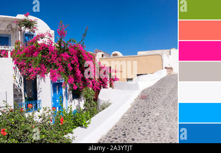 Corrispondenza dei colori nella tavolozza di blu, corallo, verde e colori fucsia dall'immagine della casa bianca decorata con bouganville e ibiscus in Oia, Santer Foto Stock