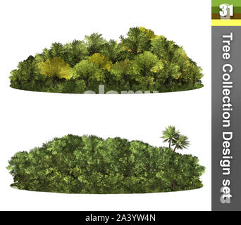 Gli alberi di design di correzione impostato. Foresta isolata. Immagine utile per natura sfondo banner. Immagine che mostra il rendering 3d. Foto Stock