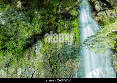 Bella cascata Minoh con luce fino nella stagione estiva. Foto Stock