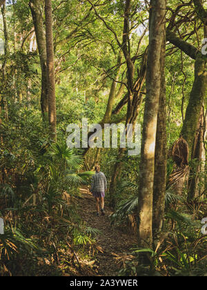 Donna che cammina nel bosco in Myall Lakes National Park, Australia Foto Stock