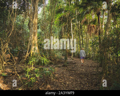 Donna che cammina nel bosco in Myall Lakes National Park, Australia Foto Stock