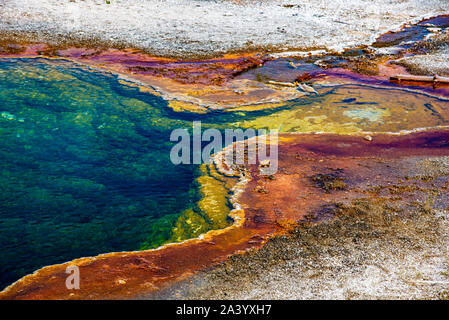 Abisso in piscina a Yellowstone di colori vivaci causata da batteri termofili Foto Stock