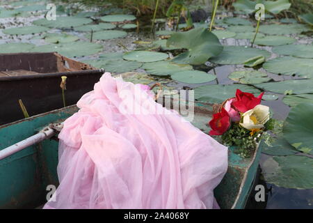 In barca sul lago con lotuses Foto Stock