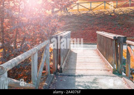 Tavola in legno ponte con una ringhiera in un parco con alberi d'autunno con fogliame rosso. Il sole splende attraverso i rami. Belle terre naturali Foto Stock