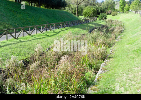Un'irrigazione drenaggio canale ricoperta con canne e vegetazione in un parco selvatico sul pendio di una collina. Danni causati da interventi di manutenzione intempestivi Foto Stock