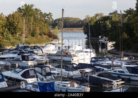 La marina in Dusseldorf-Lorick Foto Stock