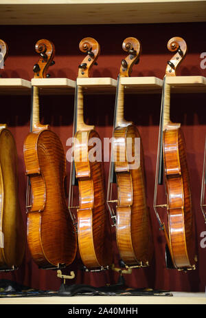 L'Italia, Regione Lombardia, Cremona CREMONA Musica mostre internazionali e Festival 2019, violini in piedi Foto Stock