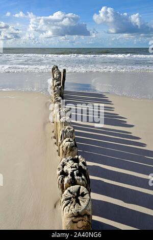 Pennelli, pali di legno come frangiflutti sulla spiaggia vicino a Kampen, Sylt, Frisone Settentrionali, Isola del Mare del Nord, Nord Frisia, Schleswig-Holstein, Germania Foto Stock