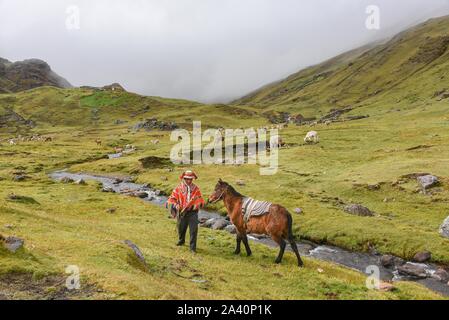 Indio guide di montagna con il poncho colorato con cavallo, Ande, Lares, vicino a Cusco, Perù Foto Stock