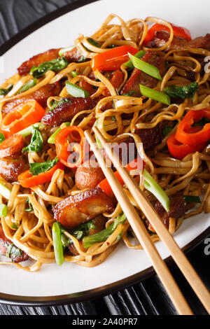Chow Mein tagliatelle con carne di maiale e verdure close-up su una piastra sul piano verticale. Foto Stock
