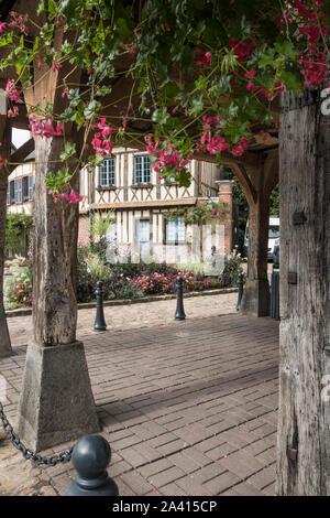 Lyons-La-Foret, Vexin, Haute Normandie, Normandia, Eurecobbles Foto Stock