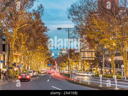 Omotesando Avenue illuminato per Natale nel quartiere Harajuku. Foto Stock