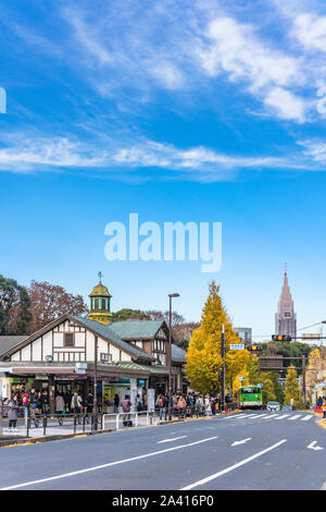 Bellissimi colori autunnali di giapponese acero iroha momiji a Harajuku. Foto Stock