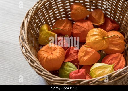 Bucce di frutta della lanterna cinese Foto Stock