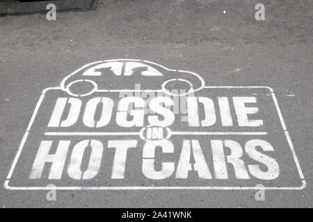 Un dogs die in Hot Cars sign in Hereford. Foto Stock