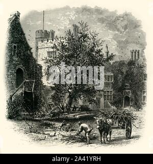 "Il Cortile, Penshurst', C1870. Penshurst Place vicino a Tonbridge, Kent, casa ancestrale della Famiglia di Sidney, luogo di nascita del poeta Elizabethan, cortigiano e soldato, Sir Philip Sidney e in passato era di proprietà di Re Enrico VIII. Dal pittoresco Europa - Le Isole Britanniche, Vol. II". [Cassell Petter &AMP; Galpin, Londra, c1870] Foto Stock