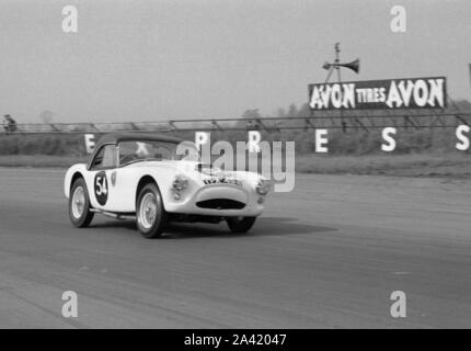 C.a. Ace-Bristol, Ecurie Chiltern a Silverstone 1959. J. McKechnie. Foto Stock