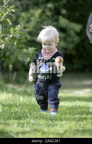Giovane Maschio bambino Toddler azienda appena raccolto Apple a piedi attraverso Orchard Foto Stock