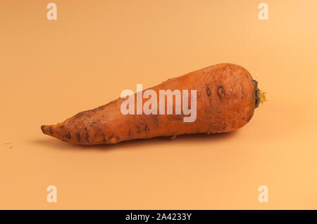 Carota organico nel fango su sfondo beige,non sbucciate le carote dolce sulla superficie, giovani carote dal giardino in stile minimalista, vitamine Foto Stock