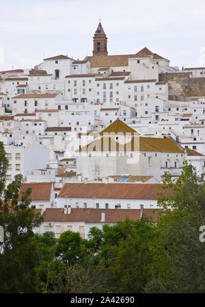 Alcala de los Gazules. Sierra de los Alcornocales. La Ruta de los Puelbos Blancos. Provincia de Cadiz. Andalusia. España Foto Stock